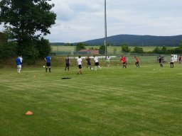 Trainingsauftakt Herren