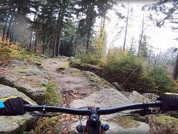 Neue Radsportabteilung